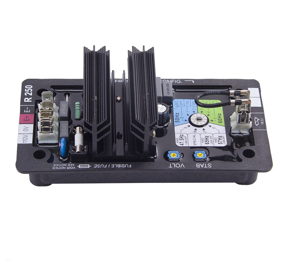 AVR regulador de voltaje R250